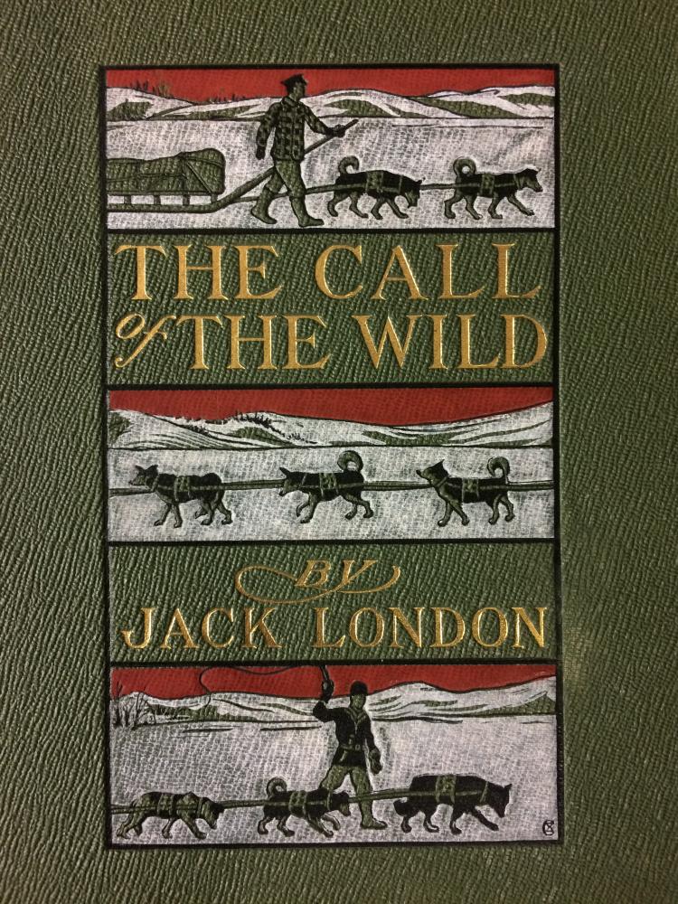 the call of the wild
