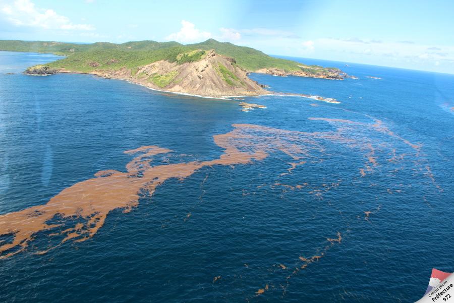 image6